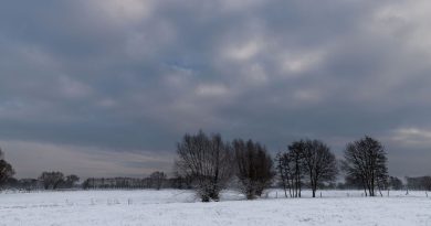 Neige et pluies verglaçantes : la Belgique confrontée à un temps hivernal