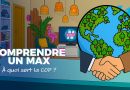 Pourquoi la COP 30 suscite des déceptions : analyse des enjeux et attentes