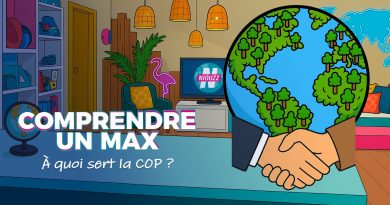 Pourquoi la COP 30 suscite des déceptions : analyse des enjeux et attentes