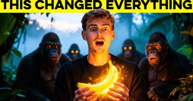 10 Prompts Nano BANANA à Tester Absolument !