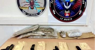 10 ans d'interdiction du territoire et des peines de prison ferme pour deux Saint-Luciens arrêtés armés au Saint-Esprit