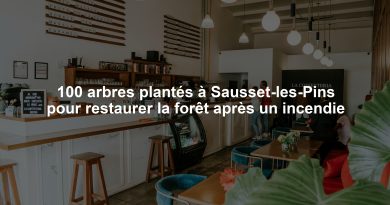 100 arbres plantés à Sausset-les-Pins pour restaurer la forêt après un incendie