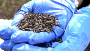 Une nouvelle technique d'IA pourrait améliorer l'analyse judiciaire des crimes violents.