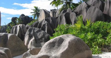 Guadeloupe, Basse-Terre, Pointe-à-Pitre, volcano, beach, palm, waterfall, Creole, island