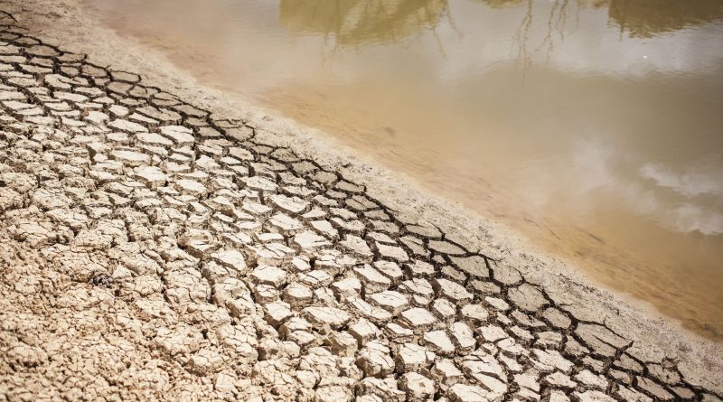 2025 pourrait devenir la 2e ou 3e année la plus chaude jamais enregistrée - RTBF Actus