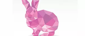 horoscope chat ou lapin