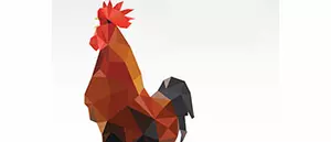 horoscope coq