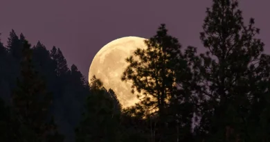 L'Europe s'engage dans l'industrialisation de l'espace et l'économie lunaire