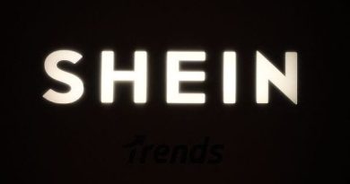 Vrai ou faux : Peut-on légalement interdire l’accès à Shein en France ?