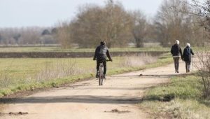 Un enseignant en activité physique adaptée souligne l'importance du mouvement quotidien pour la santé