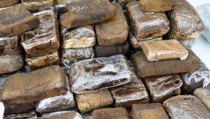 Vrai ou faux : le narcotrafic cause-t-il des centaines de morts chaque année ?