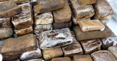 Vrai ou faux : le narcotrafic cause-t-il des centaines de morts chaque année ?