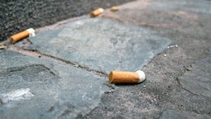 Le tabac : un impact environnemental dévastateur à ne pas négliger