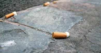 Le tabac : un impact environnemental dévastateur à ne pas négliger