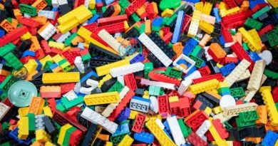 Karine Elmarek utilise des Légos pour favoriser le développement des enfants - ICI