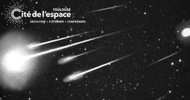 Novembre : Sous le signe du Lion, observez les étoiles filantes les plus brillantes