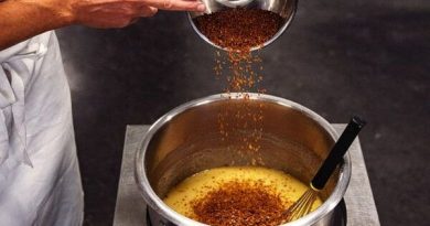 Maison Rochefort à Évrecy : un patrimoine architectural à découvrir