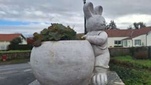 Corme-Royal : un arrêté municipal interdit la divagation des animaux domestiques