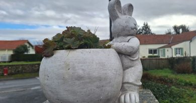 Corme-Royal : un arrêté municipal interdit la divagation des animaux domestiques