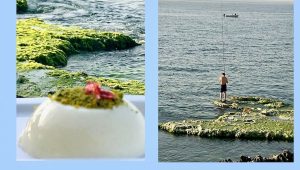 Épisode 4/5 du podcast Noha Baz : l'alimentation comme première médecine face aux défis du monde