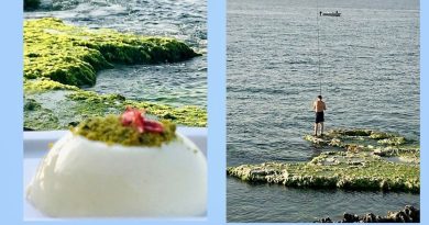 Épisode 4/5 du podcast Noha Baz : l'alimentation comme première médecine face aux défis du monde