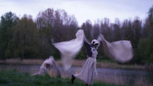 Elficologie : une exposition sur la récolte de la rosée du matin