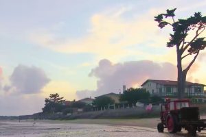 « L'or gris de la Nouvelle-Aquitaine : 30% de la production européenne et 200 millions d'euros par an »