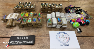 13 kilos de résine de cannabis saisis et les fournisseurs d'un trafic en détention