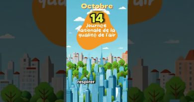 14 octobre : Journée nationale de la qualité de l'air 🌬️