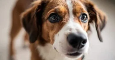 Le gérant d’un hypermarché condamné pour avoir séquestré et violenté deux c…