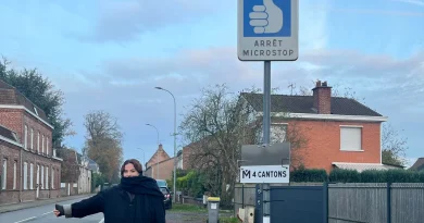 Que veut dire « Parasocial », mot de l’année pour le dico de Cambridge ?