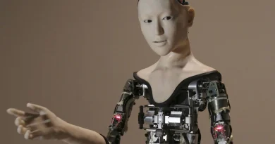 Neuf policiers légèrement blessés en entravant une rave à Istres