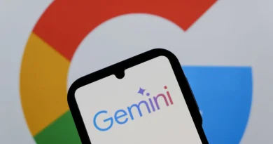 Les voleurs sortaient les vélos des boutiques avec une canne à pêche