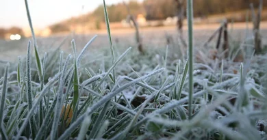 La France risque-t-elle de connaître un hiver aussi violent qu'en 1985 ?