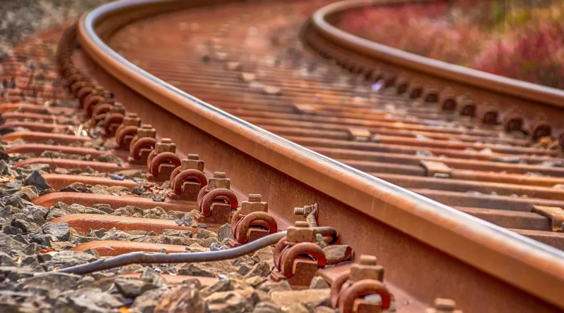 « Mon bébé, c’est fini ! »… Ces chiens qui donnent leur sang pour sauver d’…