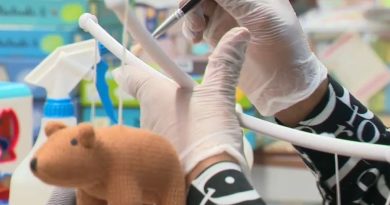 83 000 jouets rénovés chaque année : une association allie économie circulaire et insertion