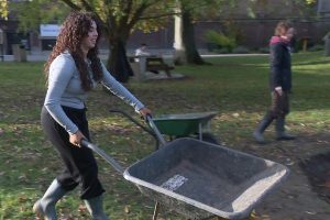 Les élèves d'un lycée creusent une mare pour la biodiversité avec un support pédagogique adapté