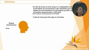 17 Capsules Vidéo : Comprendre les Risques Psycho-Sociaux