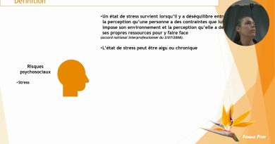 17 Capsules Vidéo : Comprendre les Risques Psycho-Sociaux