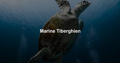 Marine Tiberghien