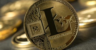 Informations essentielles à connaître avant d'investir dans Litecoin