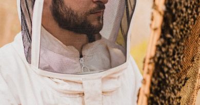 Un apiculteur tracte une ruche pédagogique sur 350 kilomètres à vélo pour préserver les pollinisateurs.