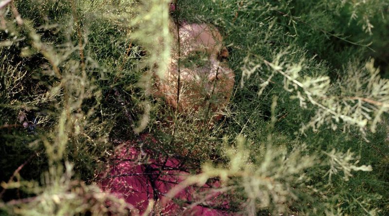 L’Enquête photographique genevoise : corps emprisonnés et corps transformés