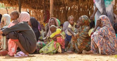 À El Fasher, des paramilitaires soudanais accusés de massacres et de viols