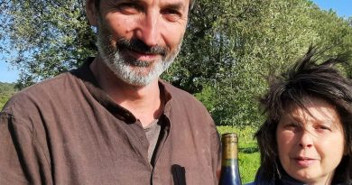 Le réemploi en viticulture : l'absurdité de jeter des bouteilles neuves