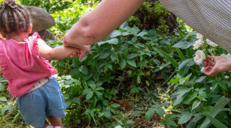 « Enfants déracinés : la quête de grands-parents choisis face à l'inaction des institutions »