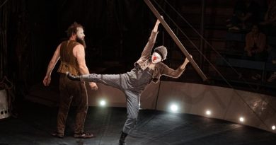 Huitième Temps de Cirques : un événement au cœur de l'agglomération et au-delà