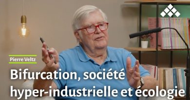 Bifurcation : Pierre Veltz sur l'hyper-industrie et l'écologie