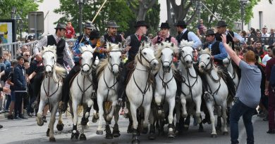 Françoise Laurent-Perrigot saisit la ministre de l'Agriculture sur la résiliation des contrats d'assurance pour les jeux taurins