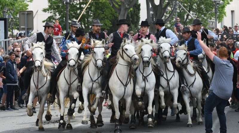 Françoise Laurent-Perrigot saisit la ministre de l'Agriculture sur la résiliation des contrats d'assurance pour les jeux taurins